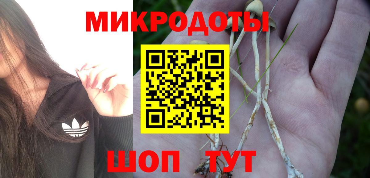 Псилоцибиновые грибы Cubensis Асбест
